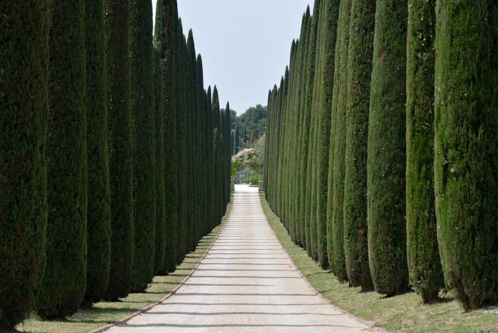 Locksmith Vs Office Manager: Who’s In Charge Of Employee Access Control?